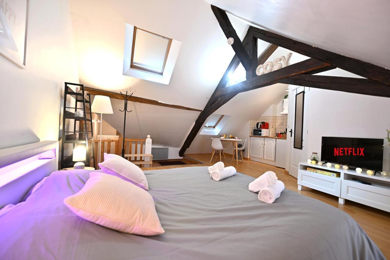 Le Cosy Du Tambour D'Argent Apartment Sens Ngoại thất bức ảnh
