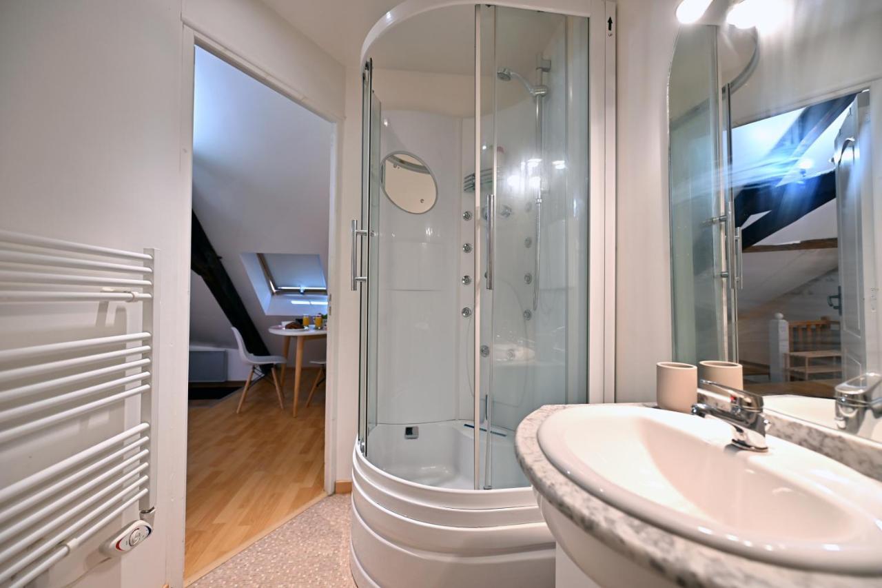 Le Cosy Du Tambour D'Argent Apartment Sens Ngoại thất bức ảnh
