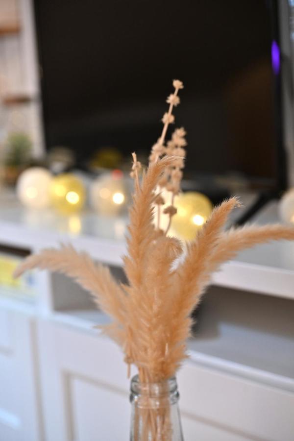 Le Cosy Du Tambour D'Argent Apartment Sens Ngoại thất bức ảnh