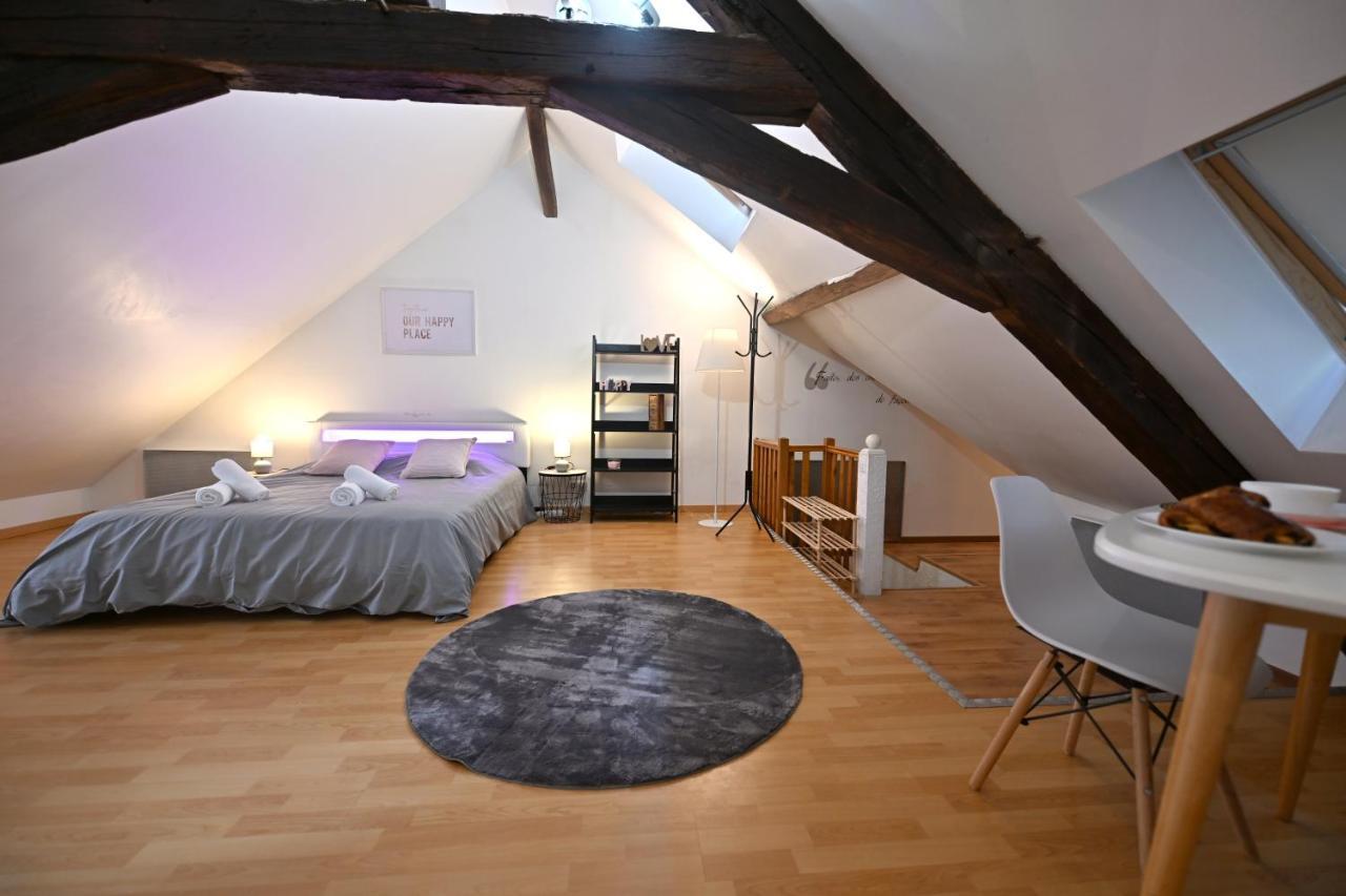 Le Cosy Du Tambour D'Argent Apartment Sens Ngoại thất bức ảnh