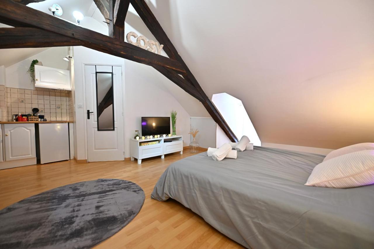 Le Cosy Du Tambour D'Argent Apartment Sens Ngoại thất bức ảnh