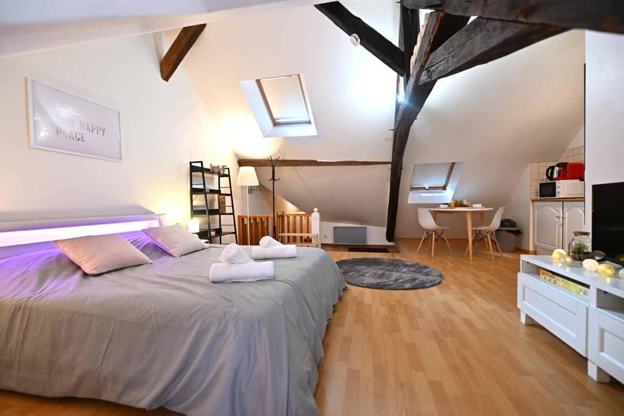 Le Cosy Du Tambour D'Argent Apartment Sens Ngoại thất bức ảnh