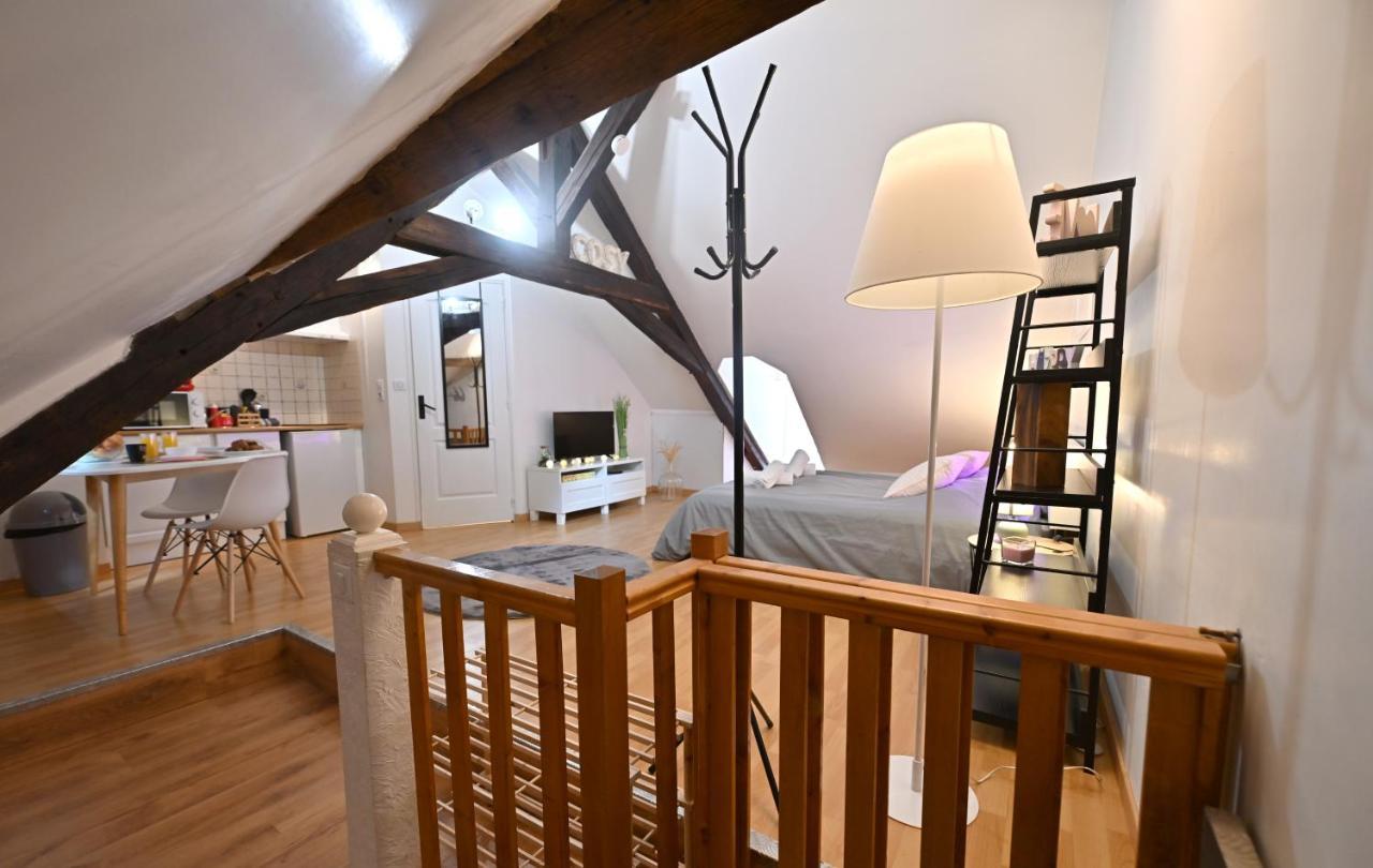 Le Cosy Du Tambour D'Argent Apartment Sens Ngoại thất bức ảnh